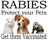 Protect your pets from rabies