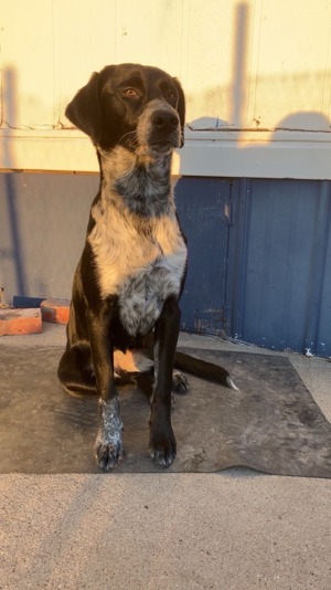 Sitting pretty